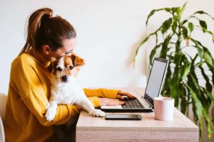 A woman using a laptop with a dog in her lap